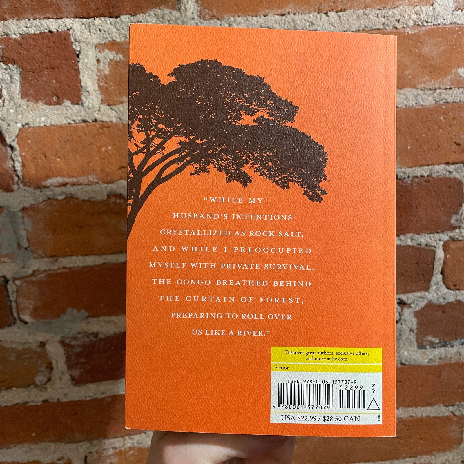 The Poisonwood Bible – Barbara Kingsolver 2005 Harper Perennial Trade Paperback