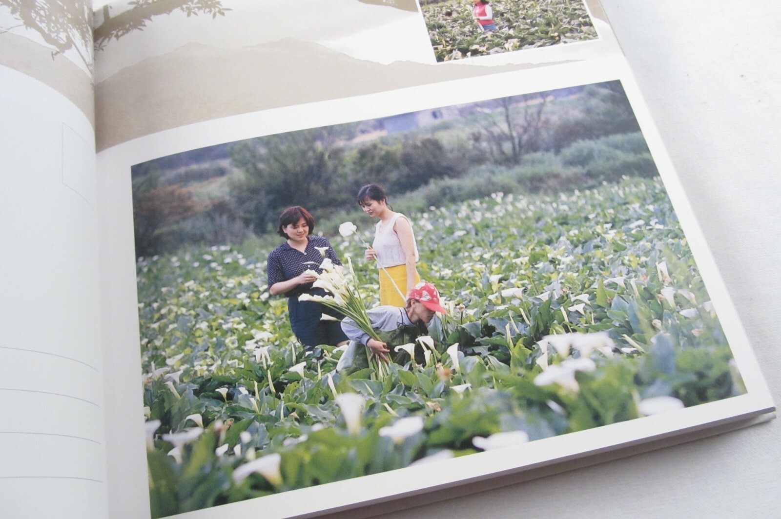 HC Book 百秒當下台北城 = 100 Seconds to Taipei, Postcards, English & Chinese 267-pages