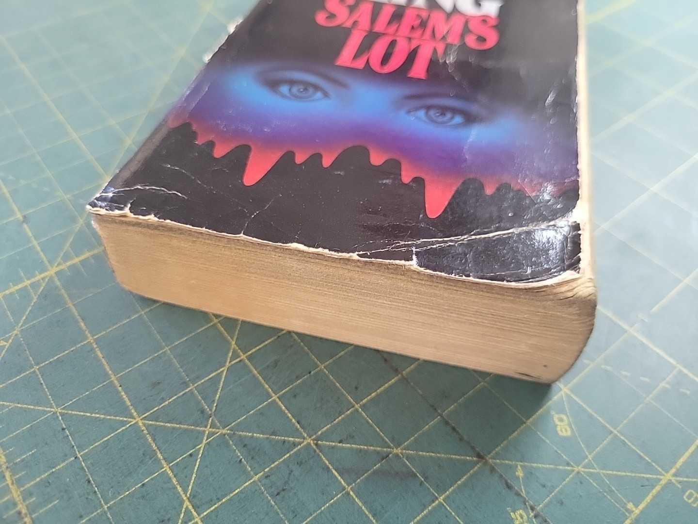 Stephen King ‘SALEM’S LOT – Signet Paperback – 1976 Horror Vintage Vampires