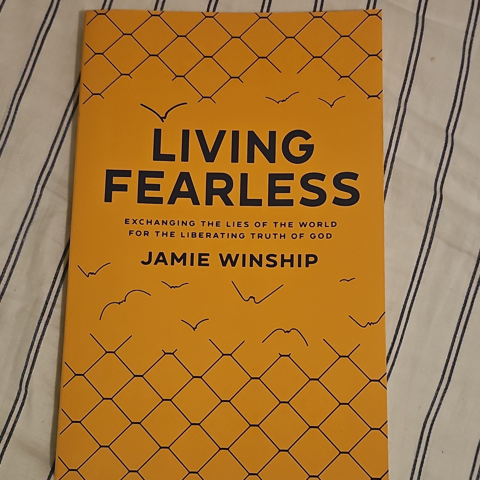 Revell Living Fearless by Jamie Winship Trade Paperback Religion Self-Help 2022