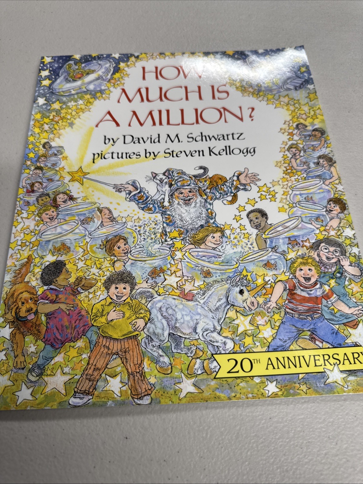 How Much Is a Million?: A Fun Classic Picture Book About Math and Numbers fo…