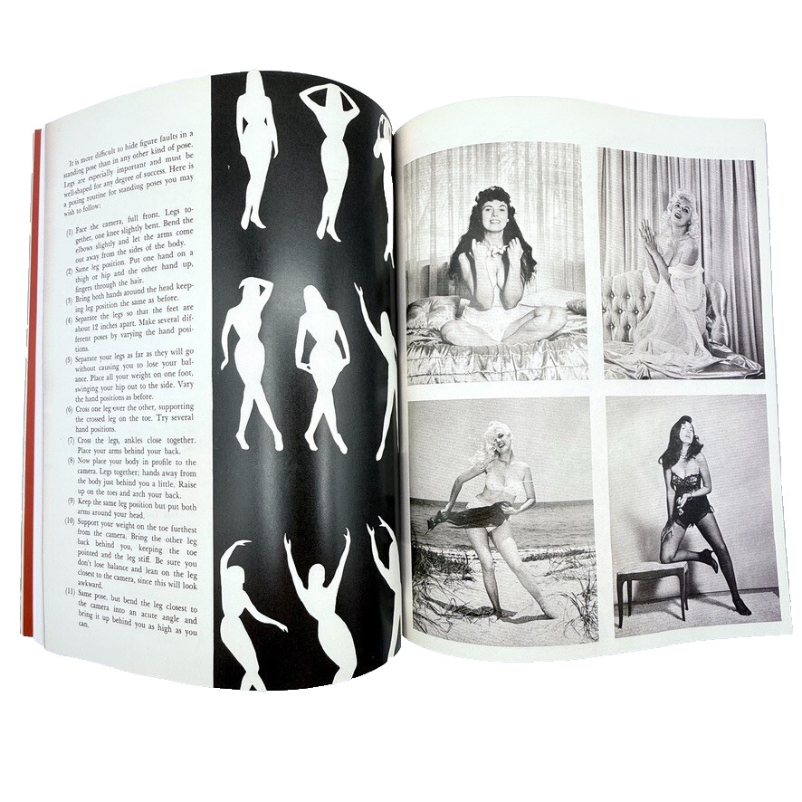 Aint Bad Magazine Selfie Vol 3 Issue 2 – 2015 #355 of 1000 – Photographic Arts