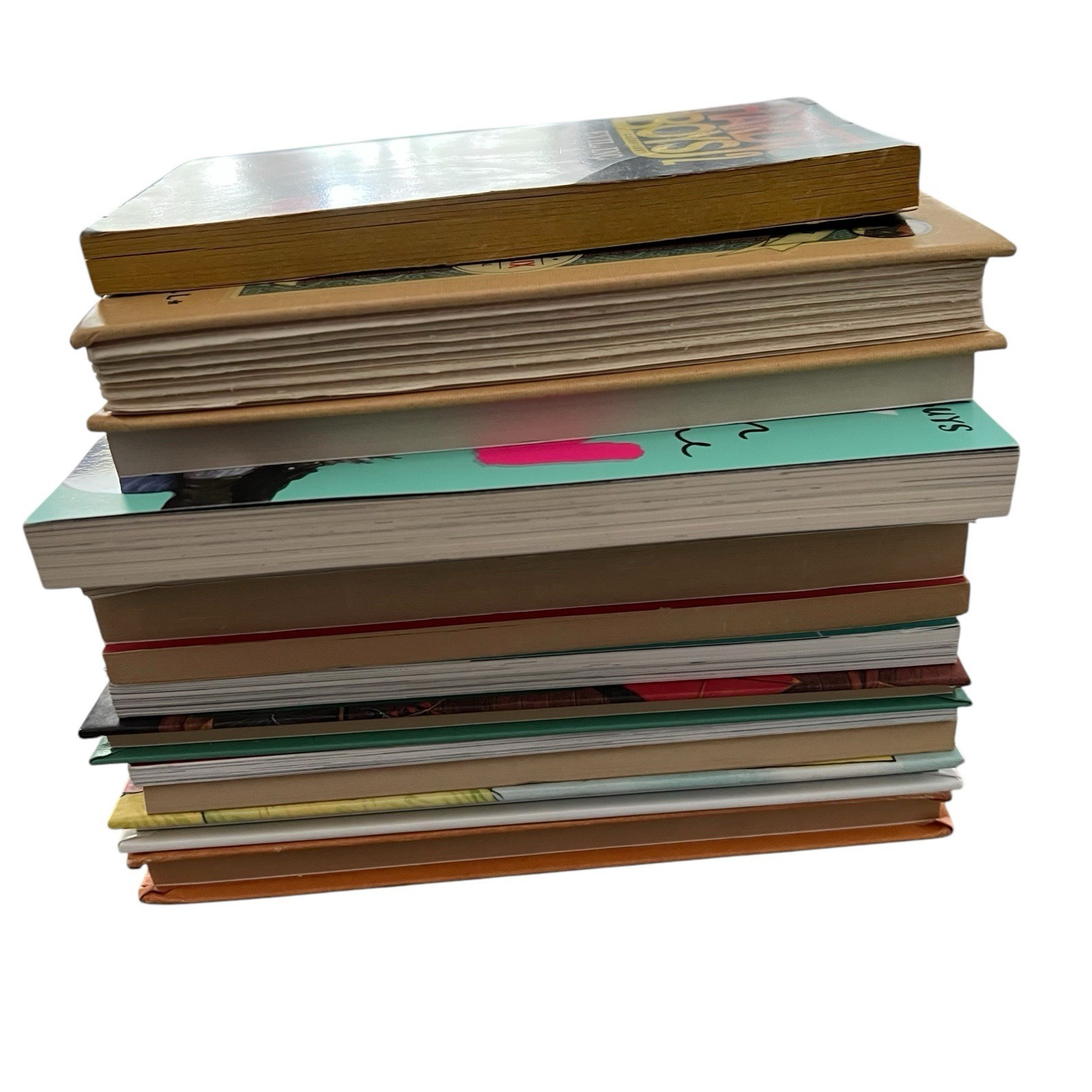 Random Lot of 13 Chapter Books By: Assorted Authors