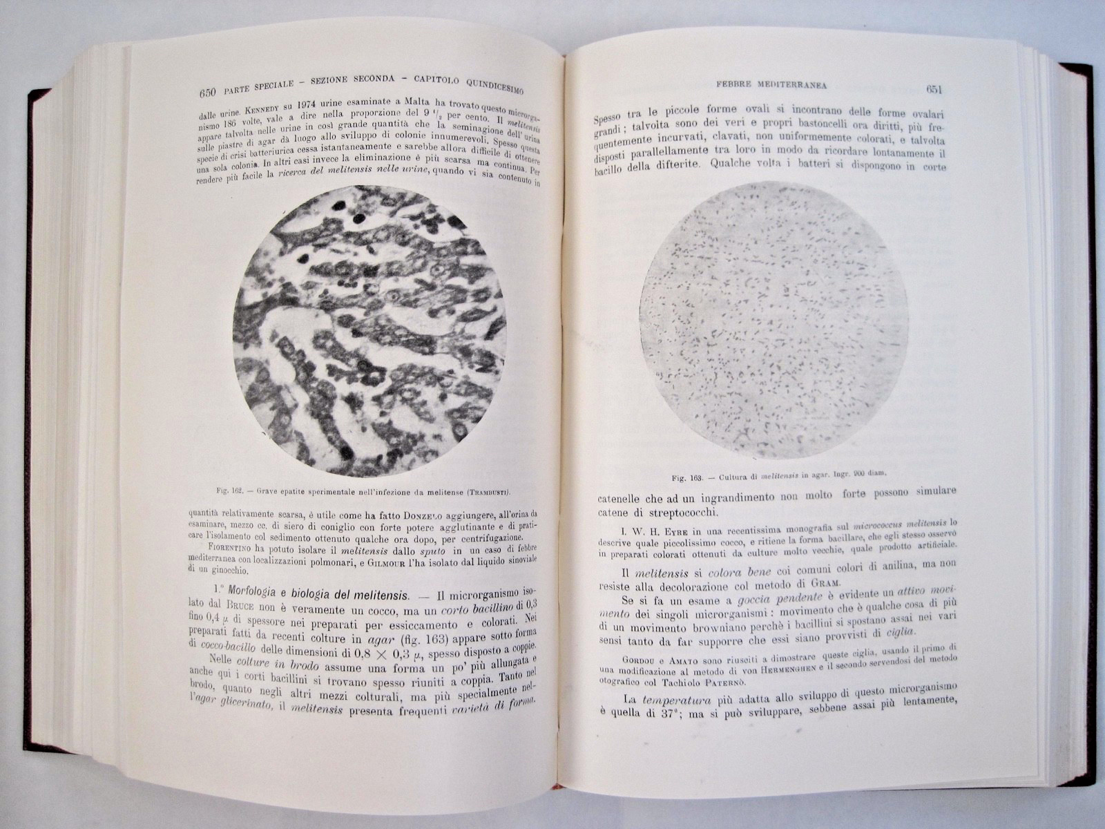 Malattie Infettive Dell’uomo E Degli Animali by Alessandro Lustig (Vol. I-II)