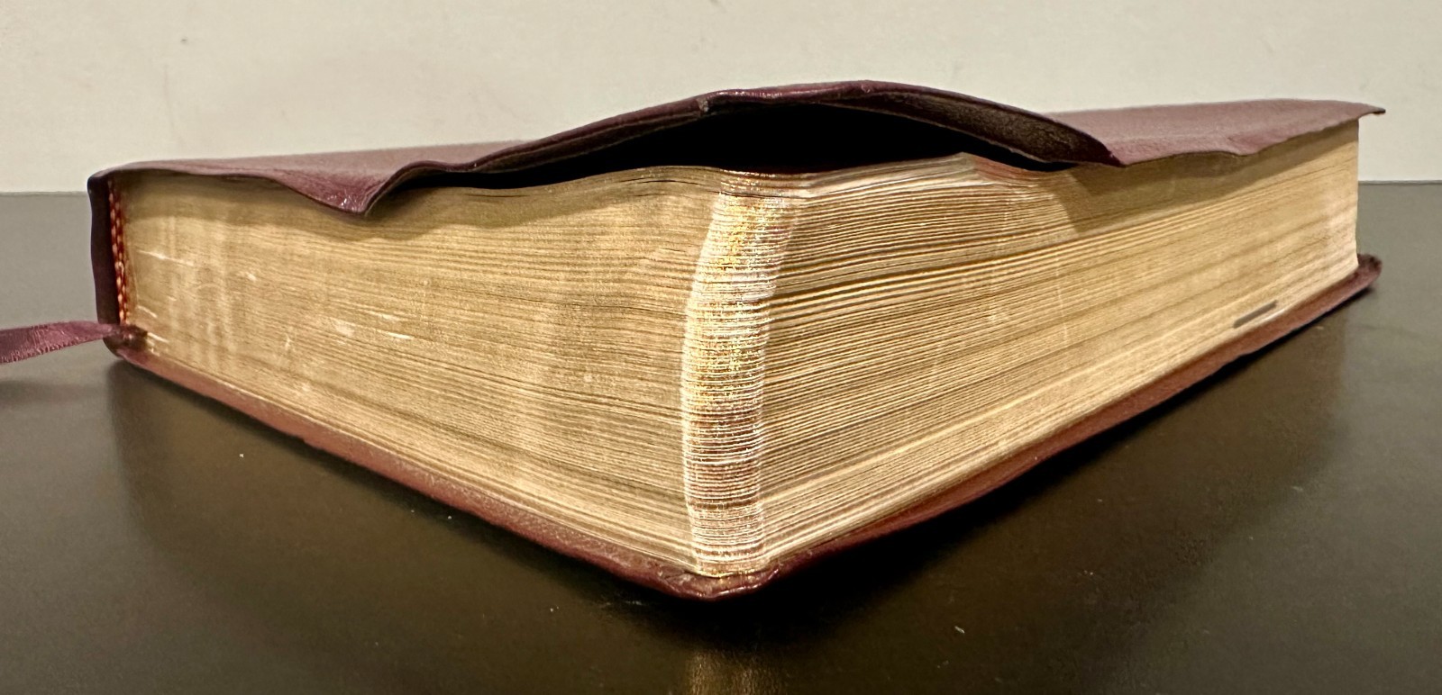 The Student Bible NIV Zondervan (1996, Bonded Leather)
