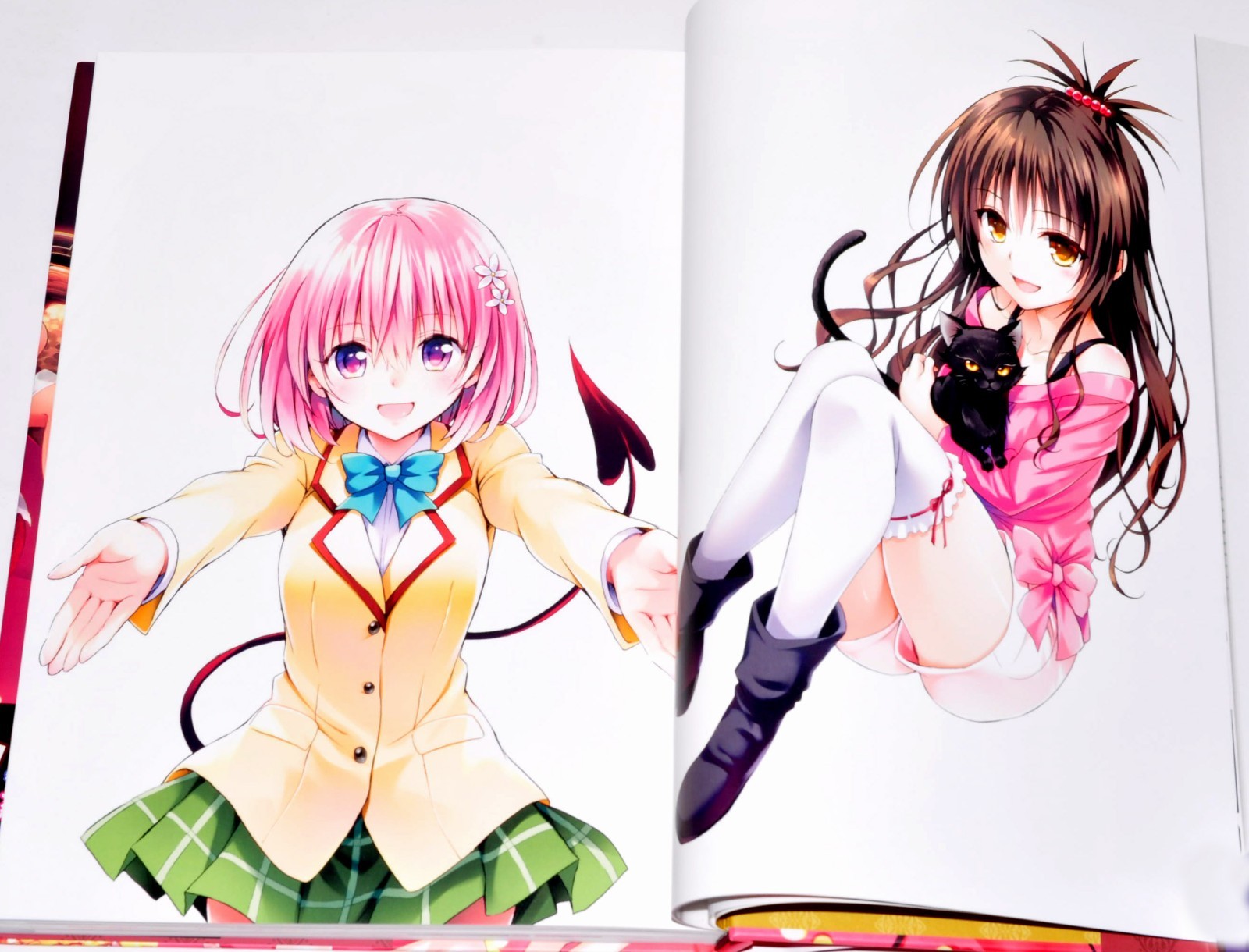 To Love-Ru Darkness Harem Gold Art Book Illustrations + Case 10th anniversary JP