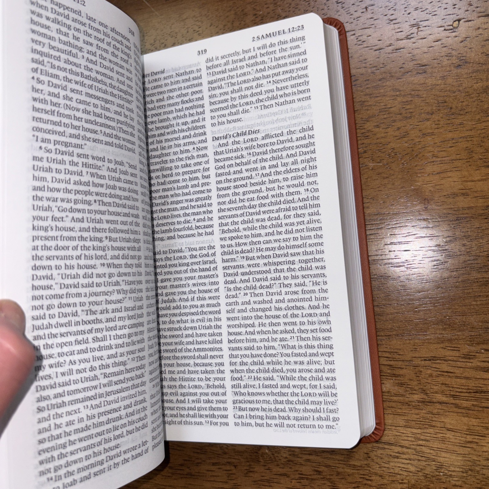 ESV Large Print Value Thinline Bible (Trutone, Camel) by Esv Bibles: New
