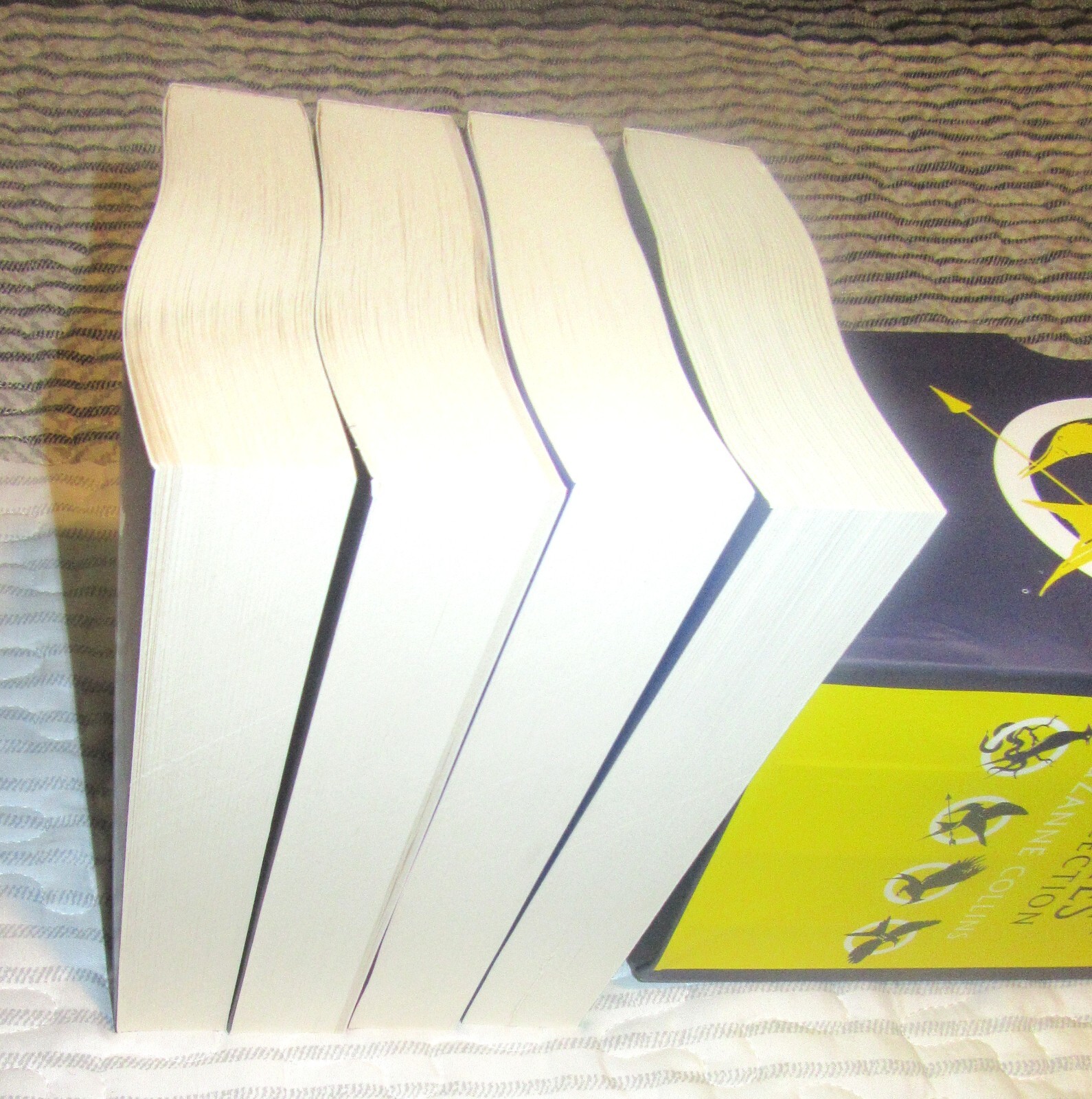 Hunger Games Boxed Set 4 Paperbacks