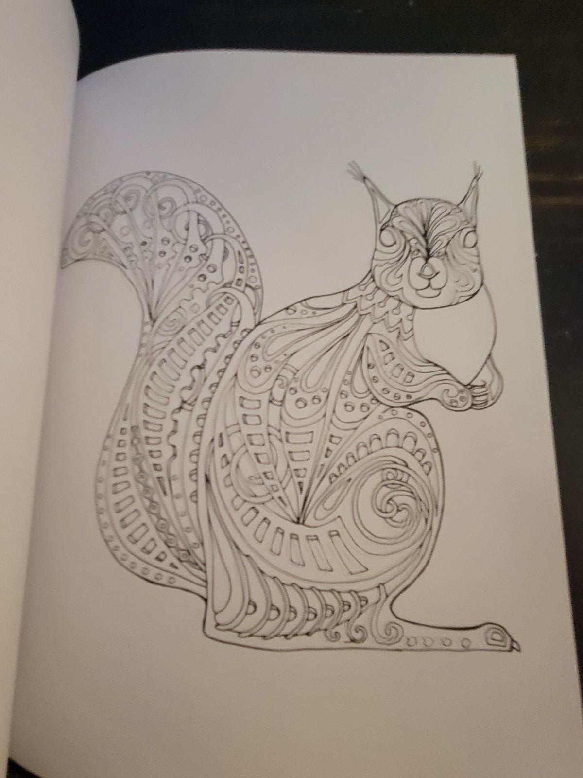 MAJESTIC CREATURES Vol 12 Adult Coloring Book With 47 Prints Ready To Frame