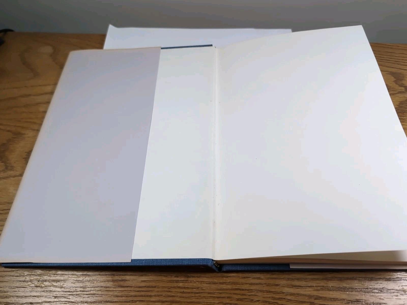 Ozark Diary By Minnie J. Sellens 1984, Privately Printed. Unique Book