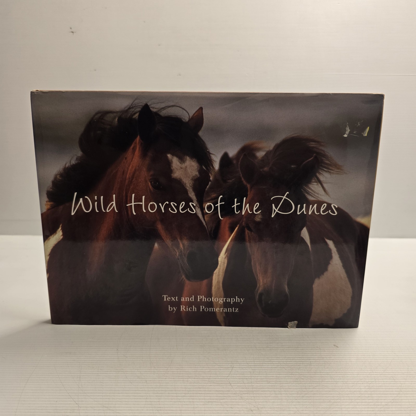 Wild Horses of the Dunes by Rich Pomerantz Hardcover Photography Book Nature