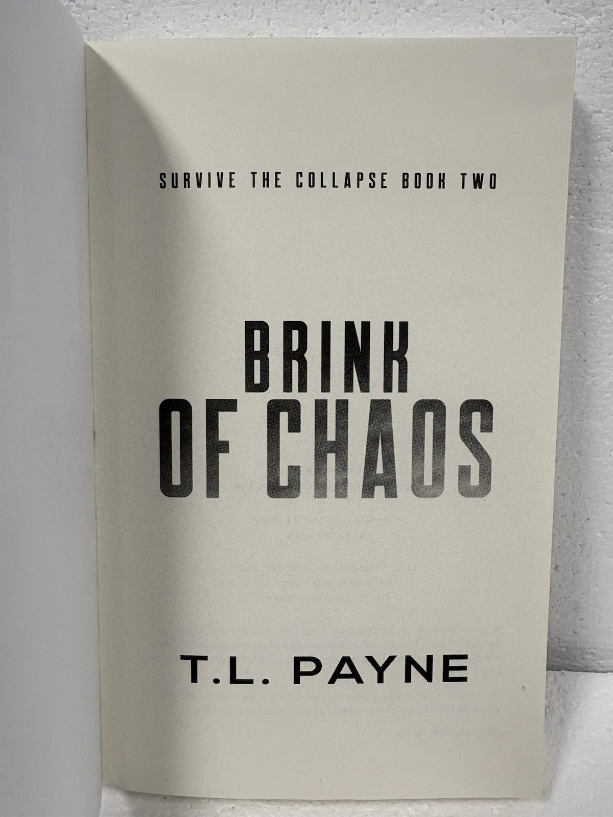 Lot Of 6 Books By T. L. Payne: Rain Of Darkness (1,3,4) & Survive The Collapse