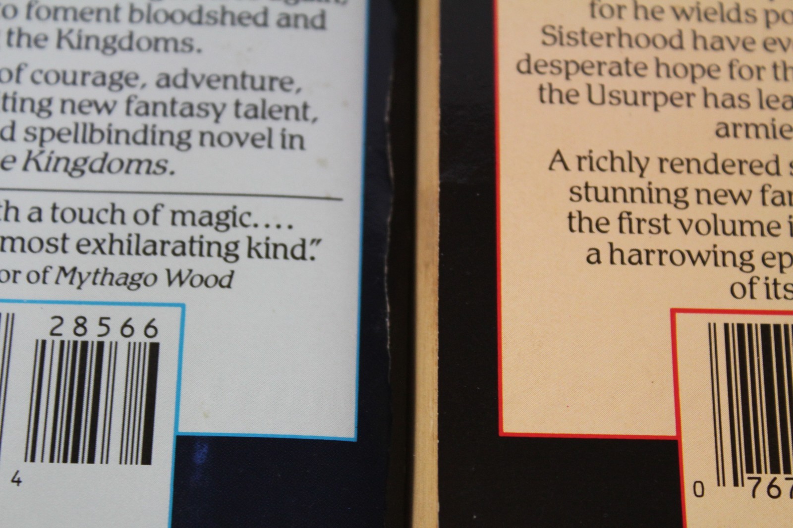 The Kingdoms Series by Angus Wells Books 1 and 2, PB, Fantasy