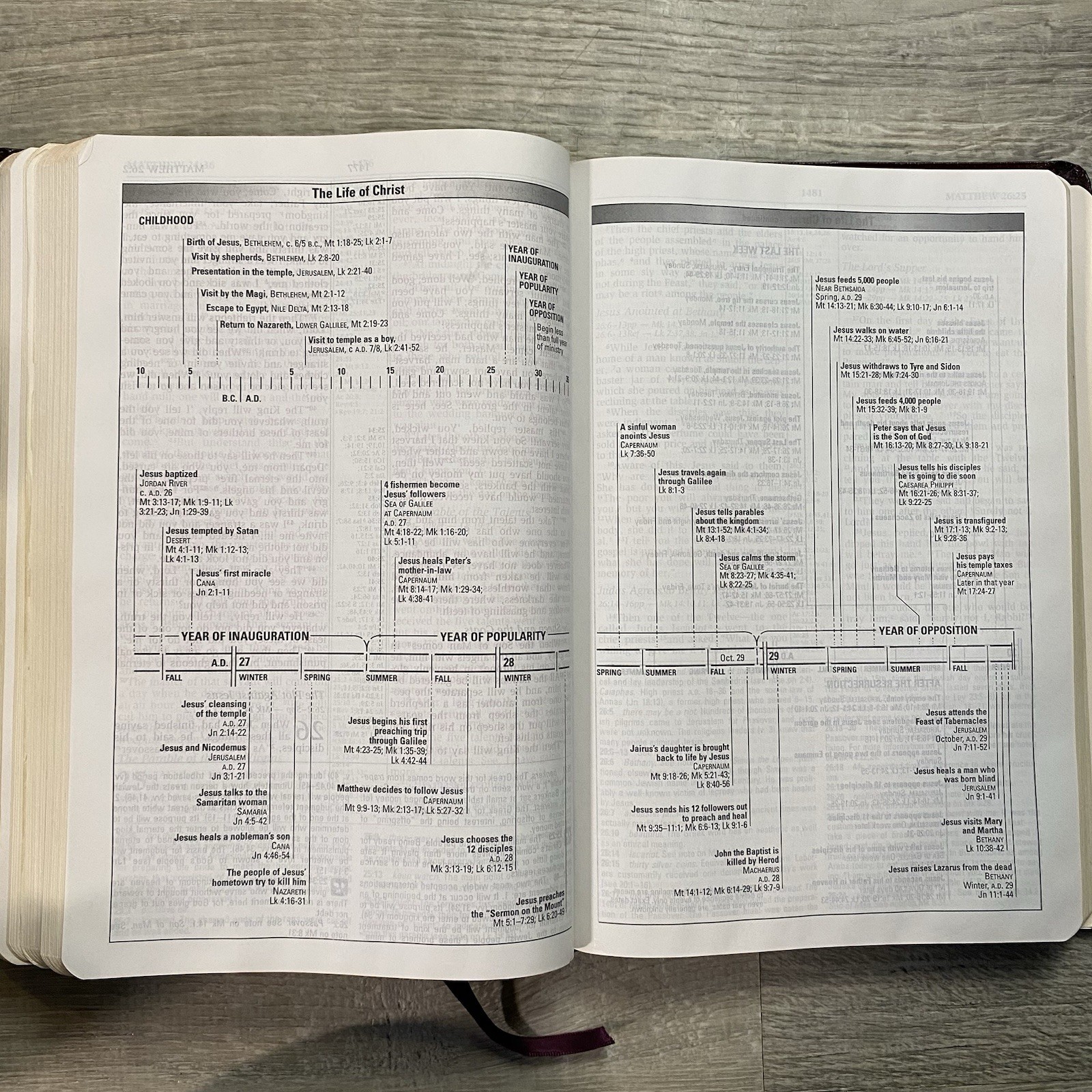 The NIV Study Bible 10th Anniversary Edition 1995 Bonded Leather Zondervan READ
