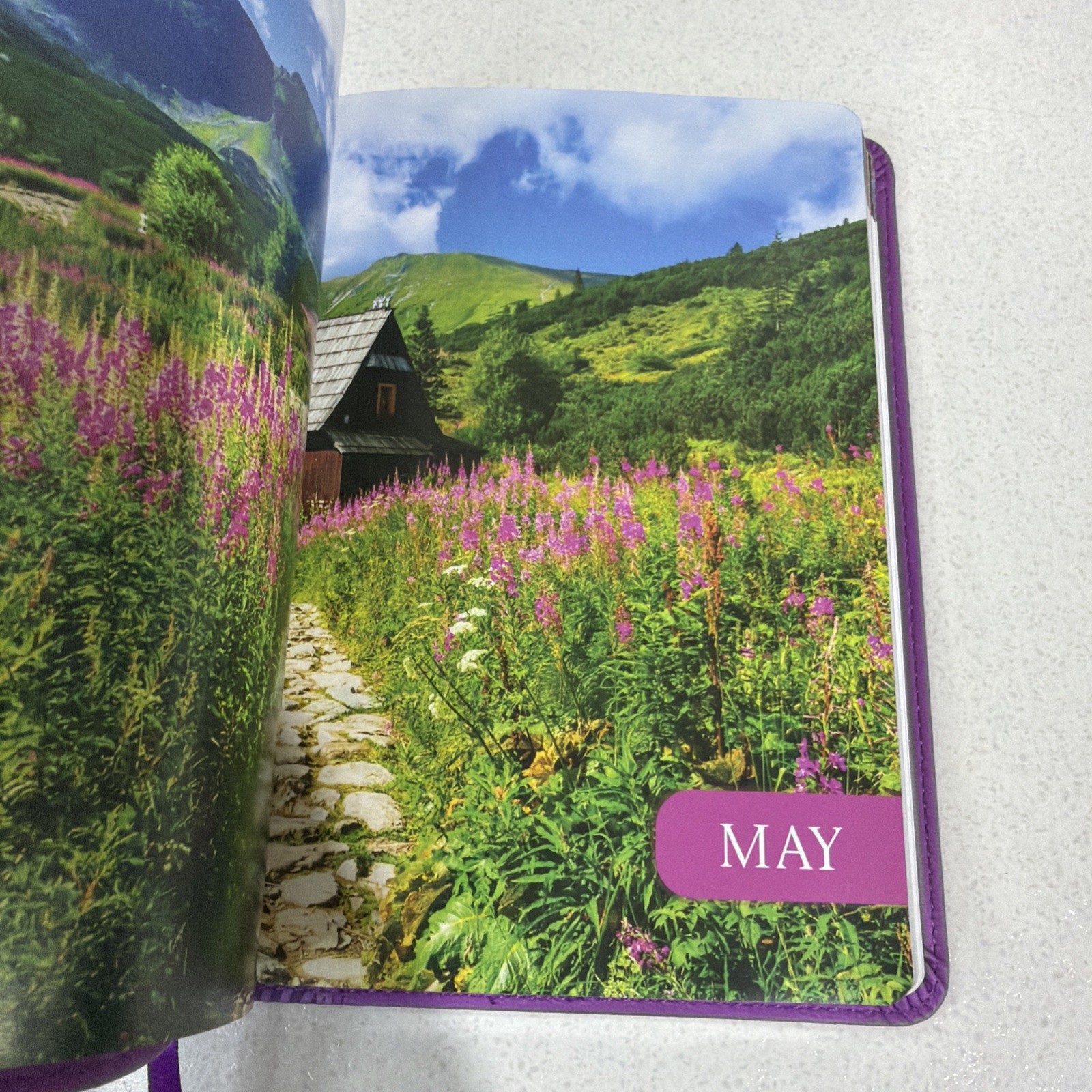 A Closer Walk with Jesus by David Jeremiah – 2025 Purple Faux Leather