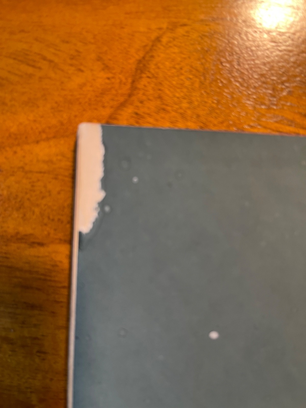 1890 Lawn Tennis Book 86 pages