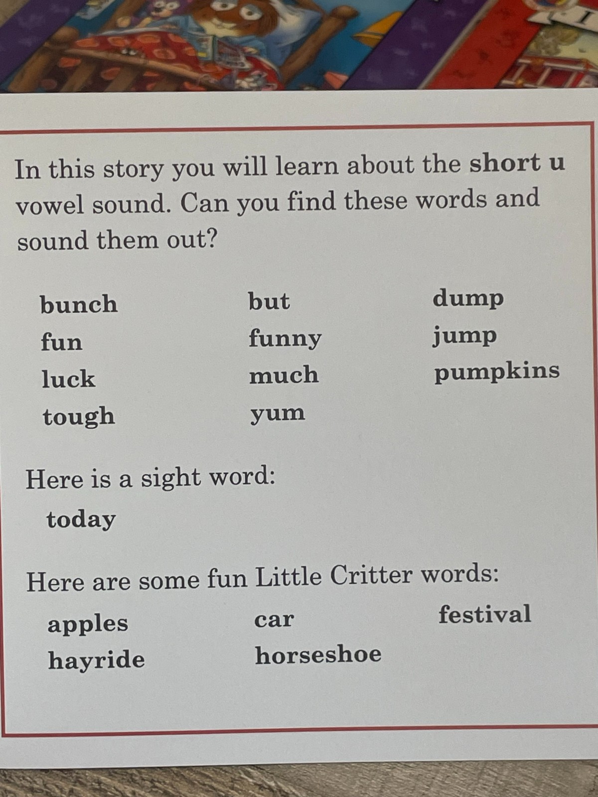I Can Read Phonics Berenstain Bears (12) & Little Critter (12) 24 Books