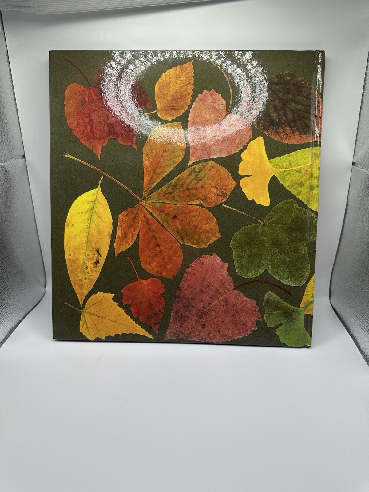Leaf Man By Lois Ehlert
