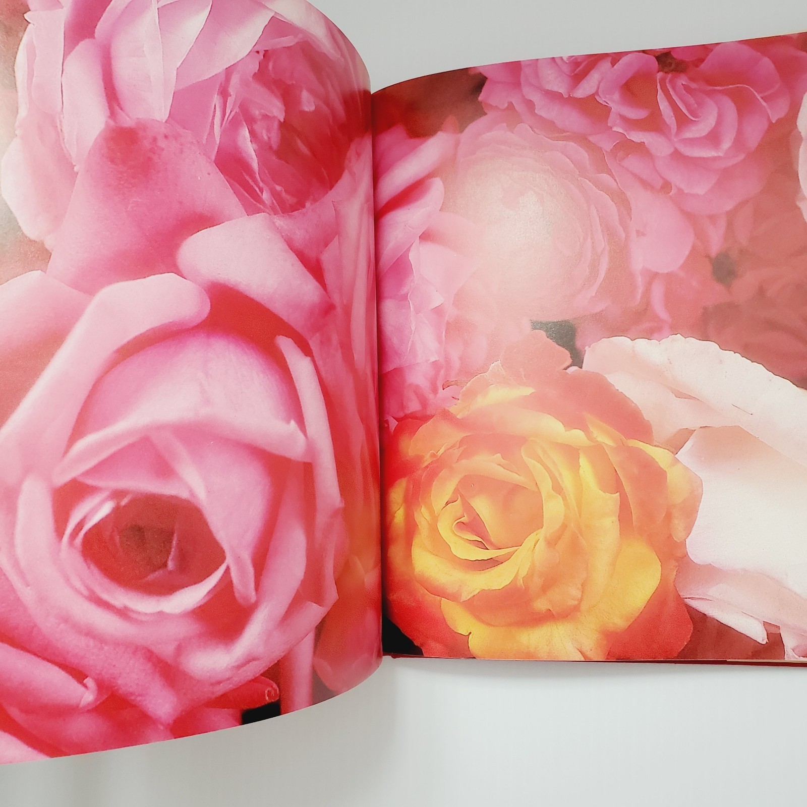 The Romantic Rose Hardcover Book Gift Flowers Gardening Plants