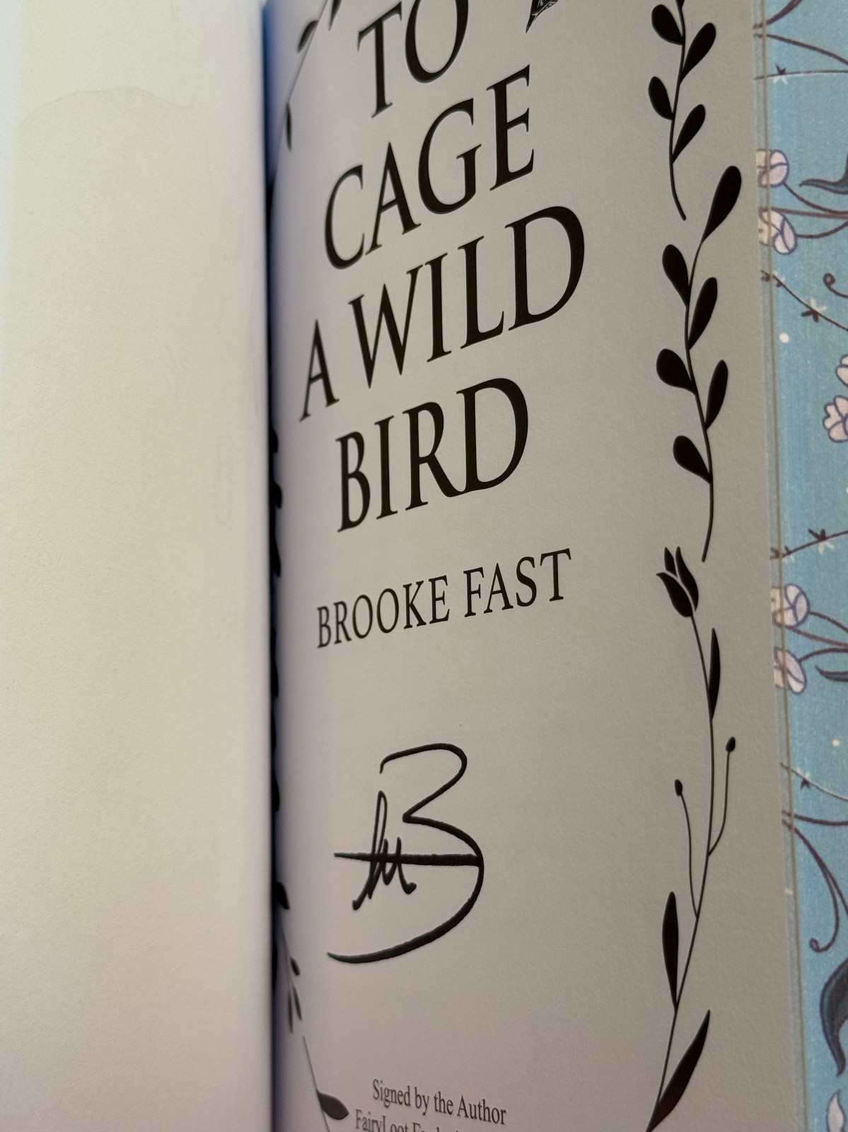 To Cage A Wild Bird by Brooke Fast Fairyloot November 2025 Romantasy Exclusive