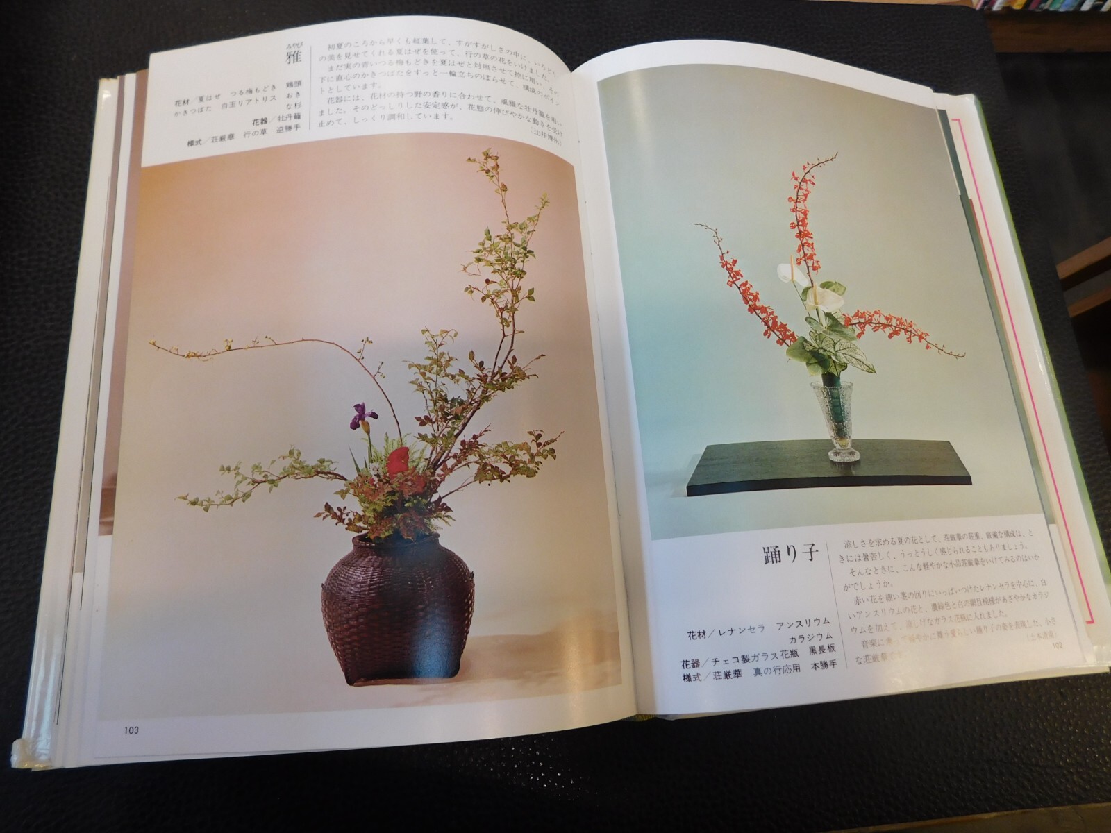 Teikan Saga Goryu book of Shufunotomosha 1977