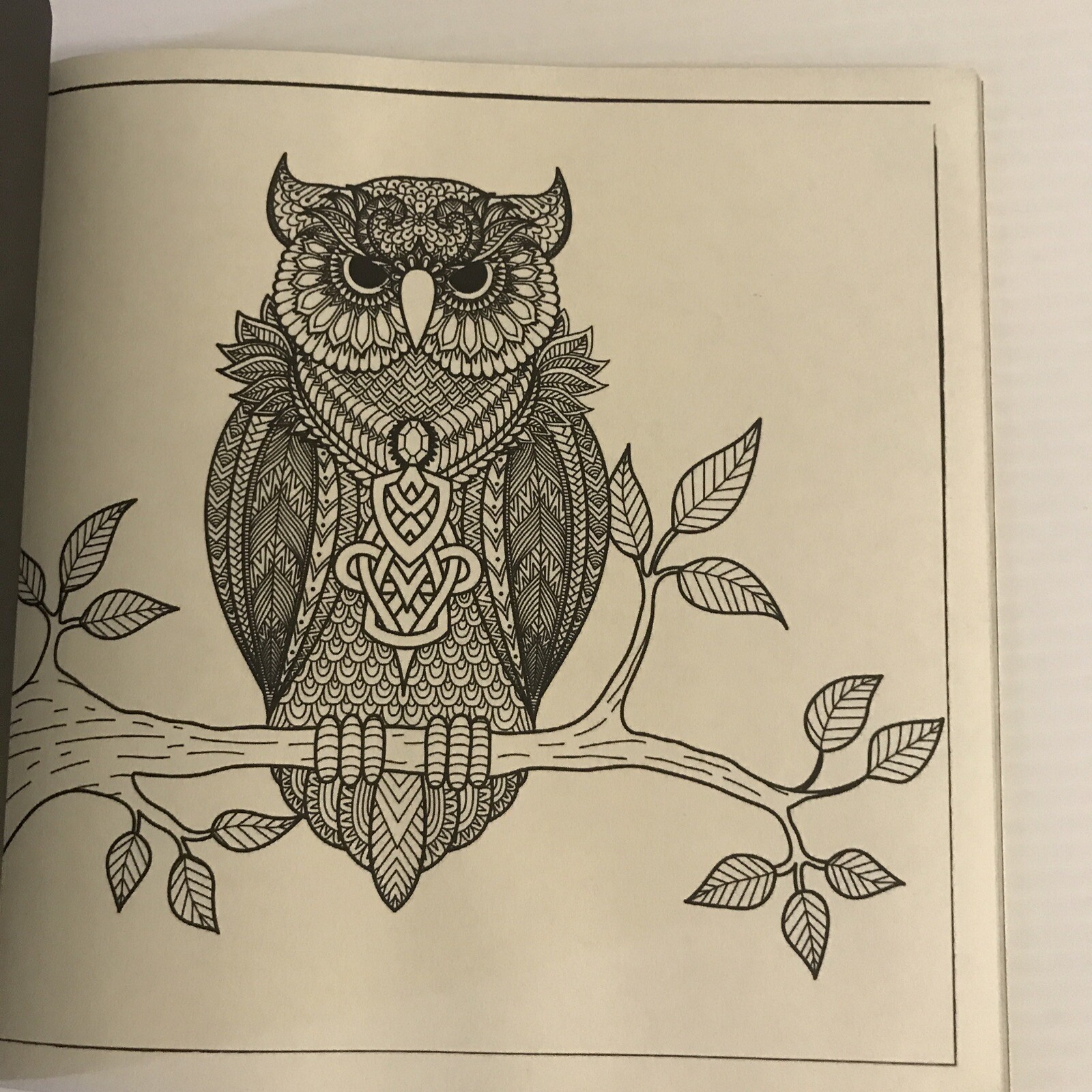 Coloring Book For Adults For Mindful People Stress Relieving Designs Volume 2 NW