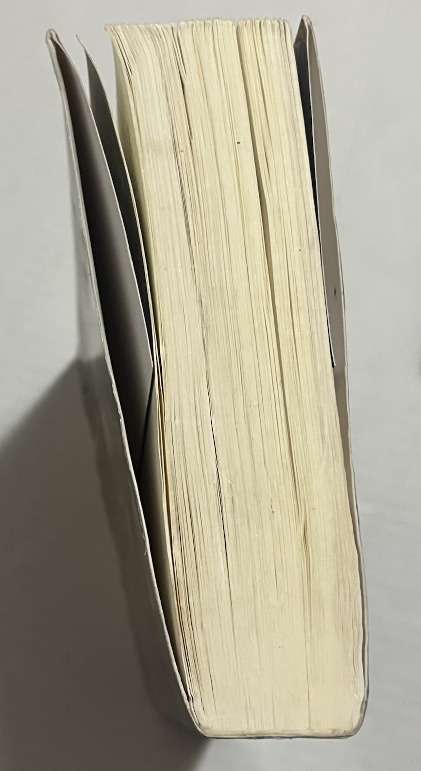 Count of Monte Cristo Alexandre Dumas Abridged Borders Classics Edition 2006