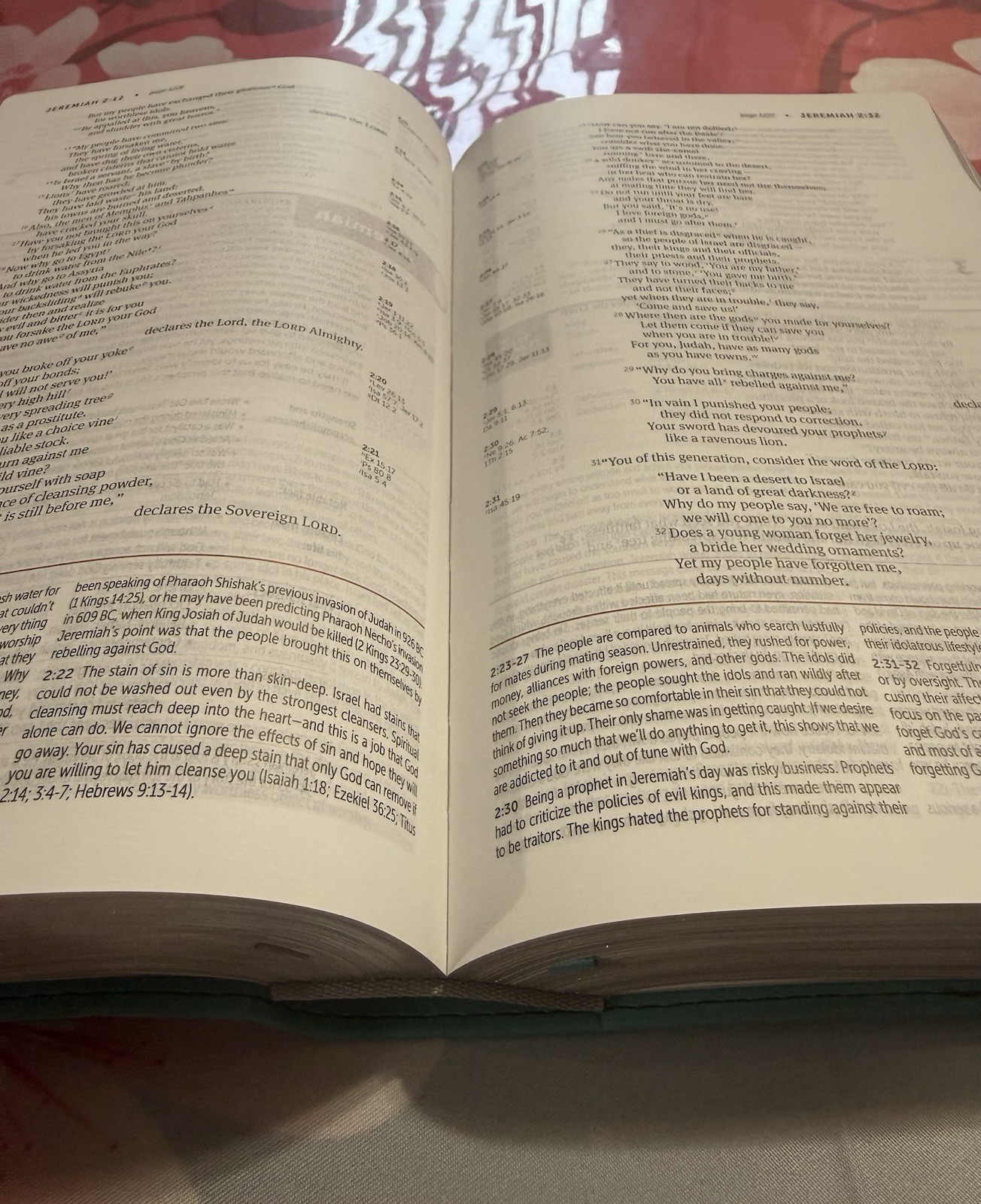 NIV Life Application Study Bible 3rd Edition Zondervan Gray Teal