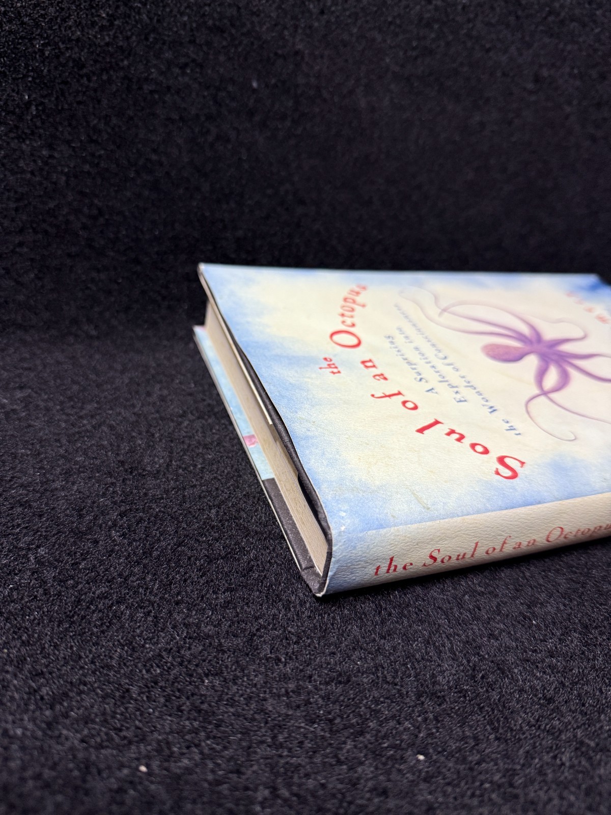 Soul of an Octopus : A Surprising Exploration into the Wonder of…
