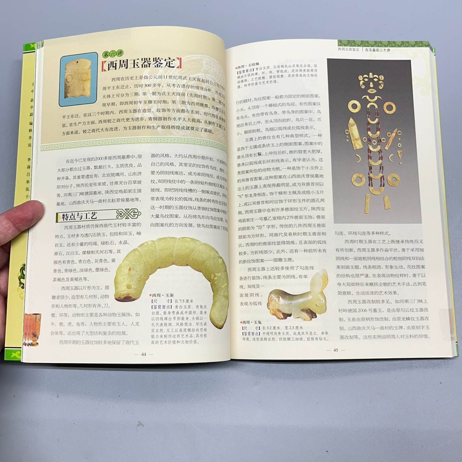 Ancient Jade Appraisal Twenty Lectures Appraising Treasures #6 Chinese 古玉鉴定二十讲