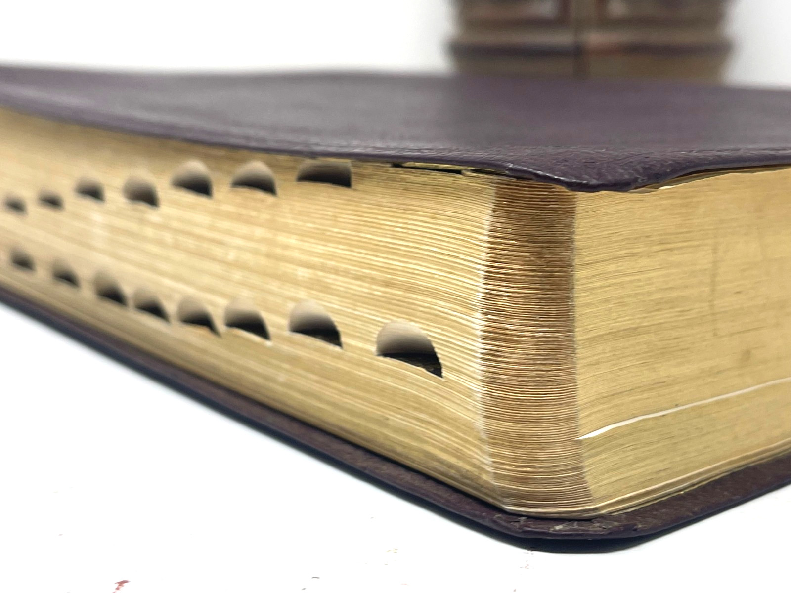 Zondervan KJV Study Bible Leather Bound Indexed 2002