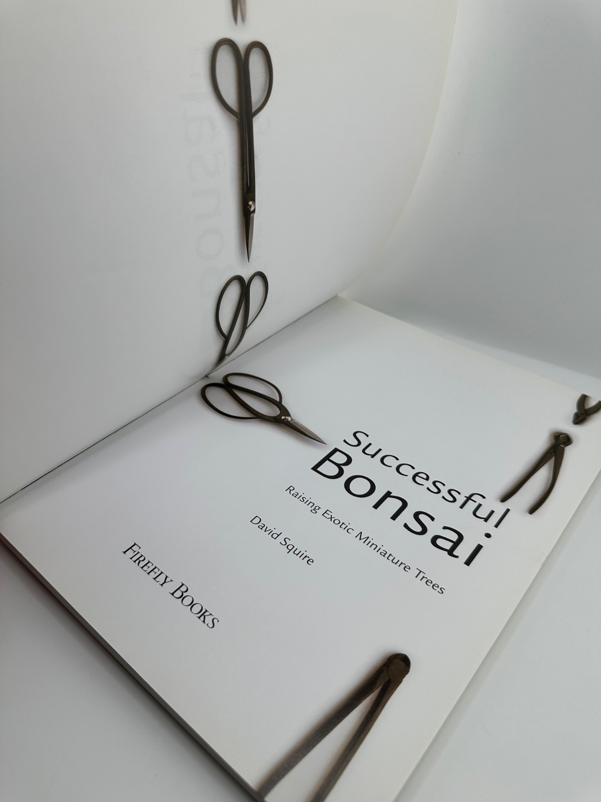 Successful Bonsai David Squire 2006 Firefly Books PB Gardening