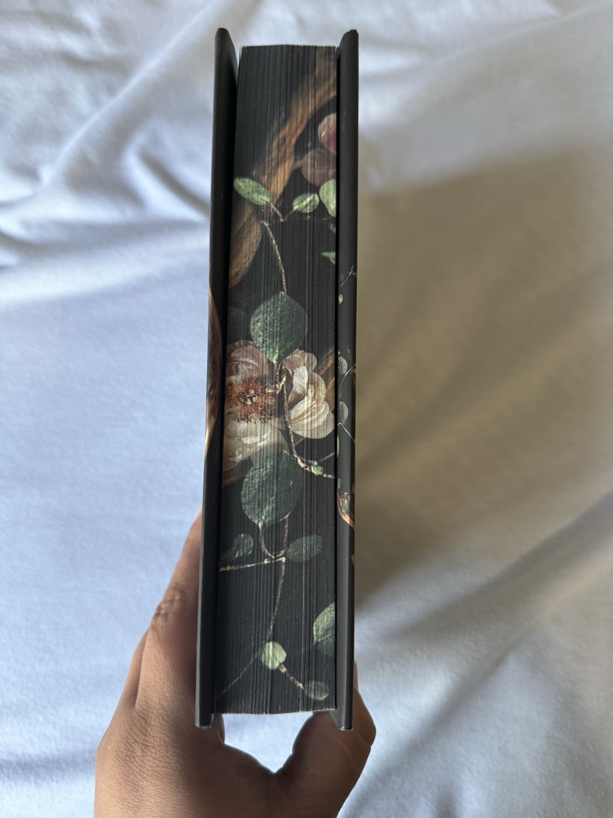 Shield of Sparrows Deluxe Edition Sprayed Edges Devney Perry Romantasy