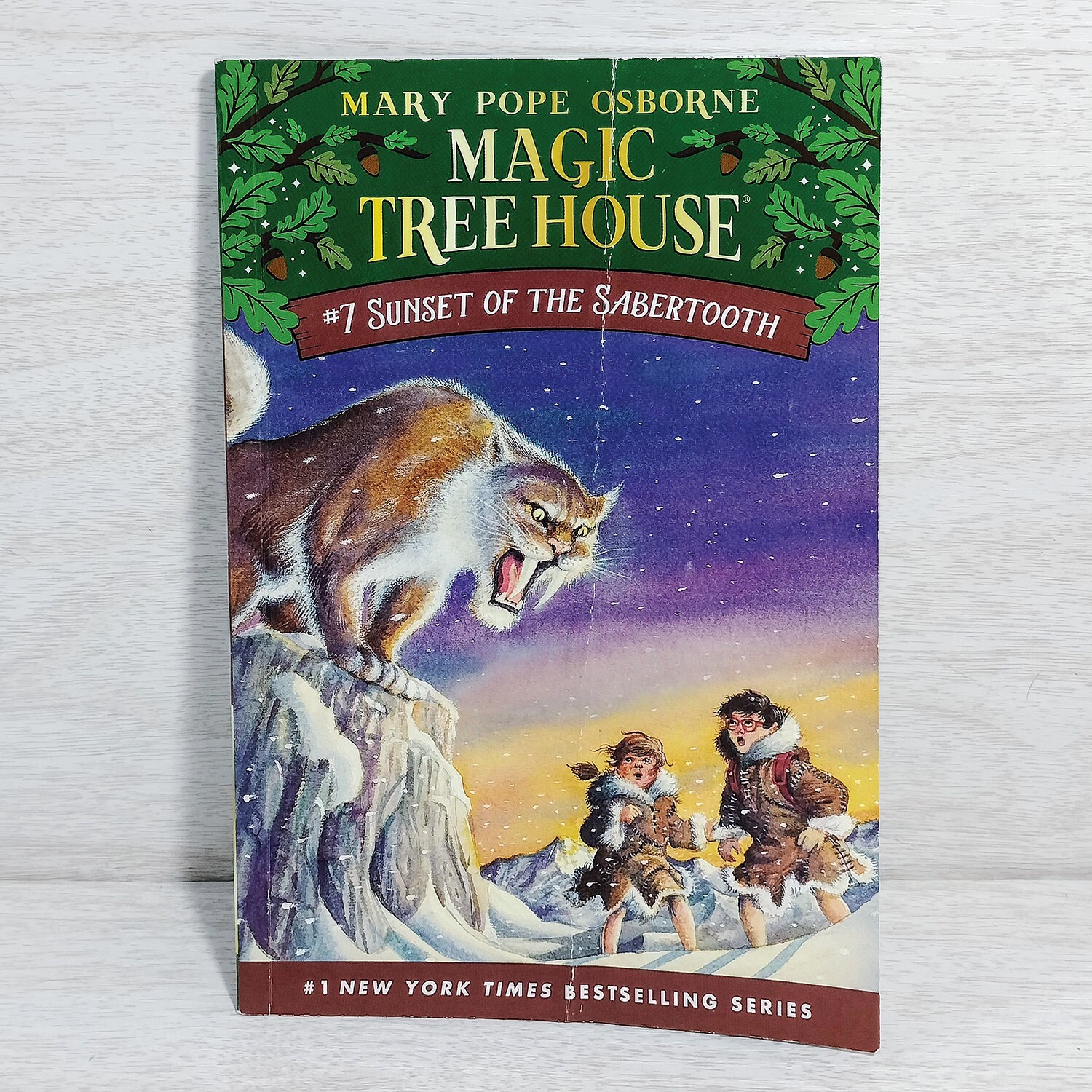 Magic Tree House Books 1-15 Complete Box Set Collection #1 PB Mary Pope Osborne