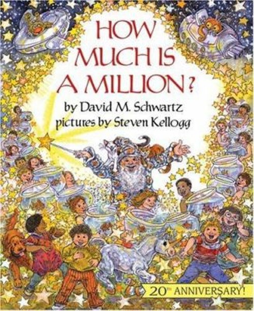 How Much Is a Million? Paperback David M. Schwartz
