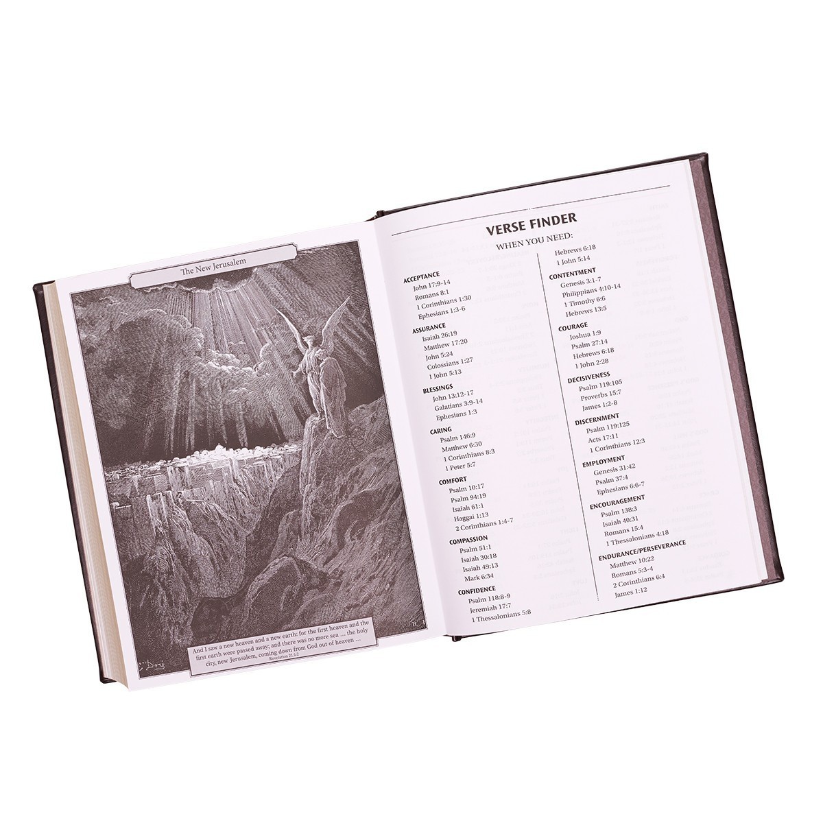 The Holy Bible King James Version Gustave Dore Illustrated Family Bible