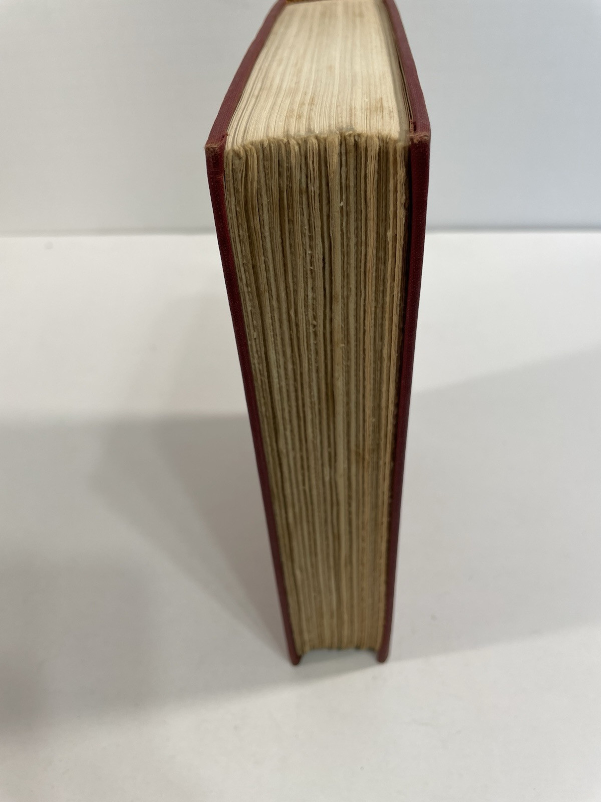 Paradise Esther Forbes 1937 Harcourt Brace and Company Hardcover