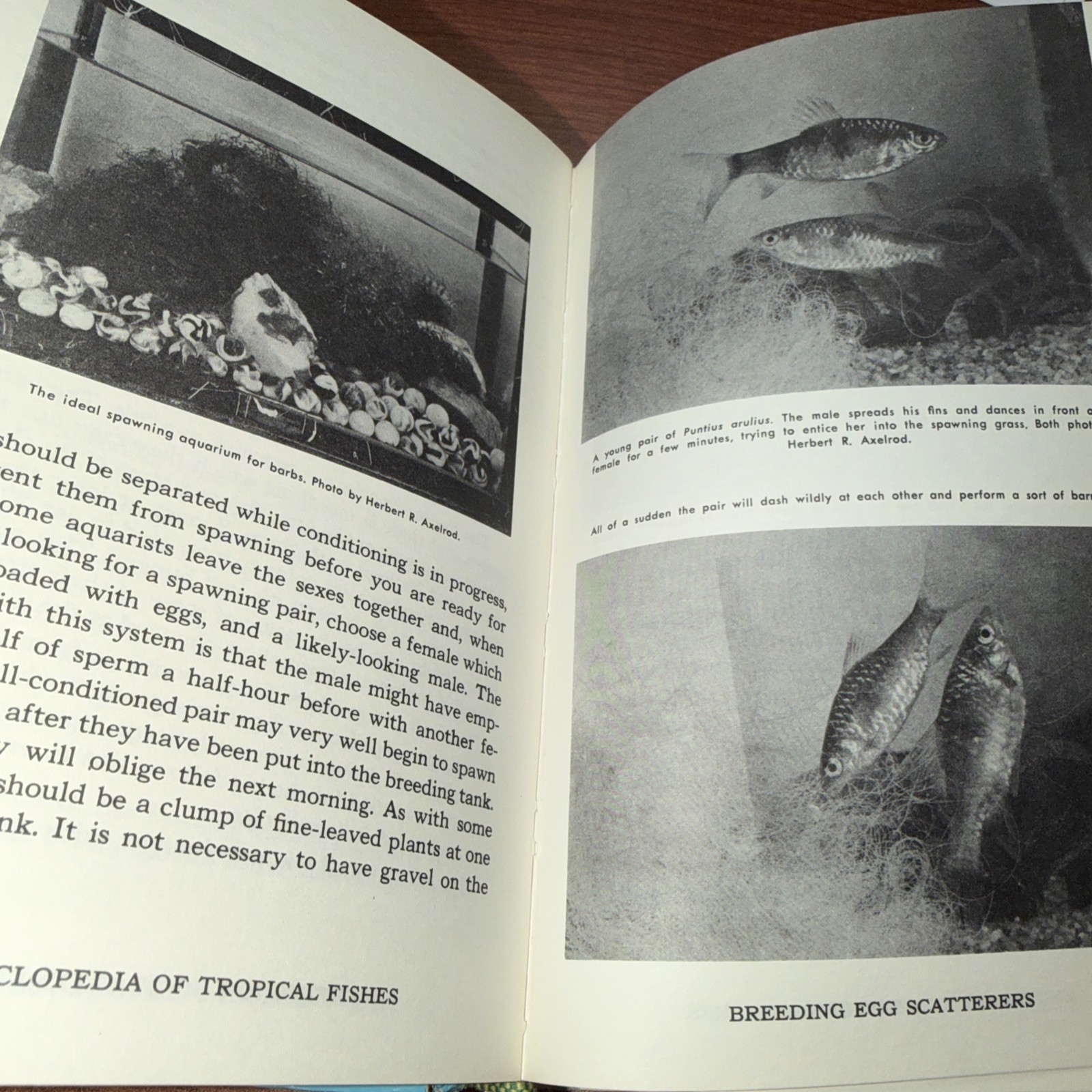 Encyclopedia of Tropical Fishes Vorderwinkler & Axelrod Hardcover Book