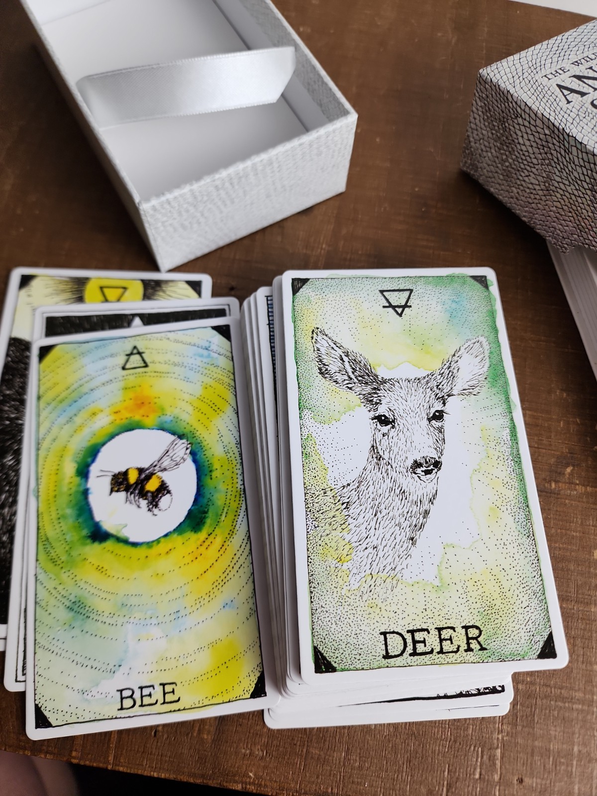 The Wild Unknown Animal Spirit Kim Krans Keepsake 63 Card Oracle Deck+Guidebook