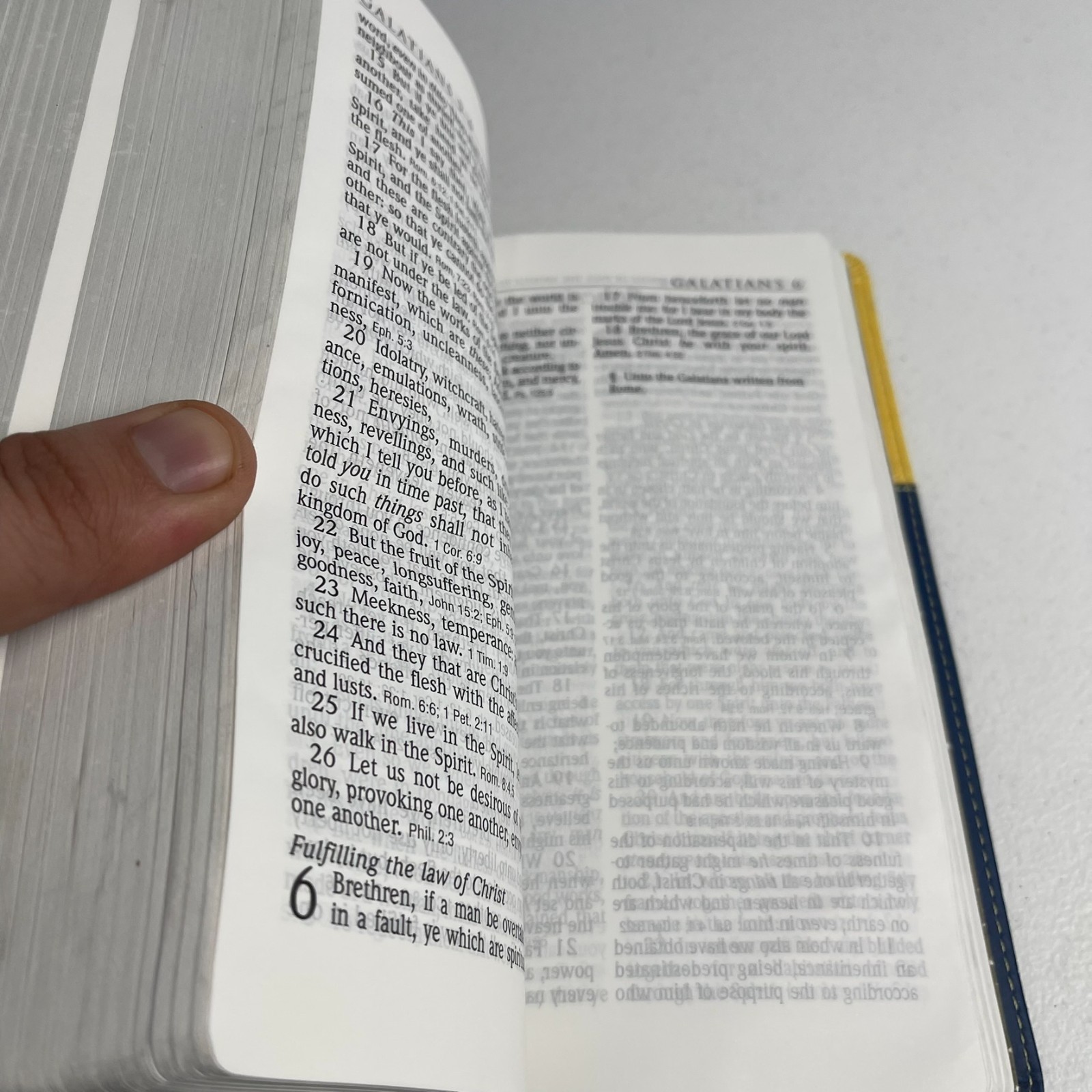 Holy Bible Hendrickson KJV