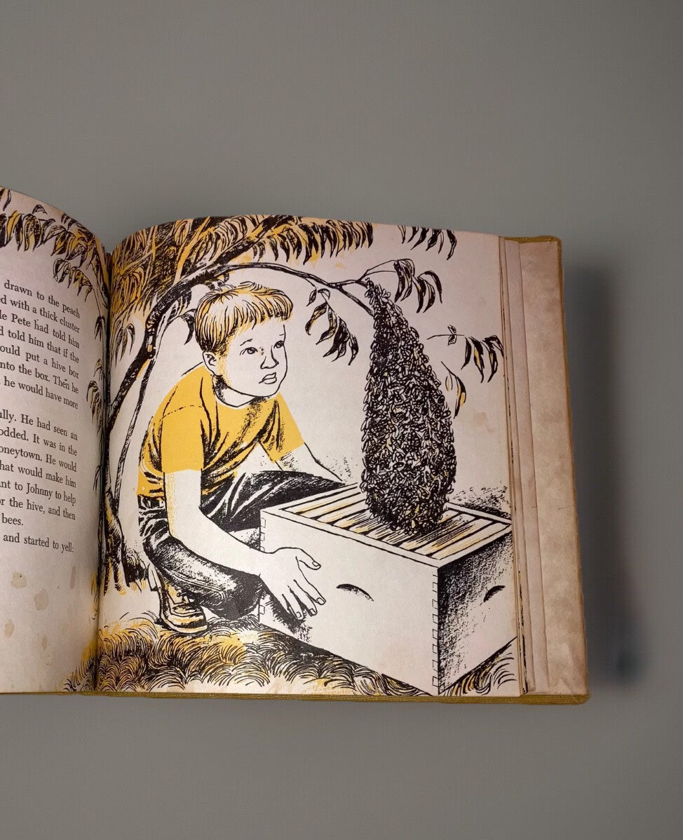 The Buzzing Bees Virginia Kester Smiley 1957 Children Vintage Children’s Book