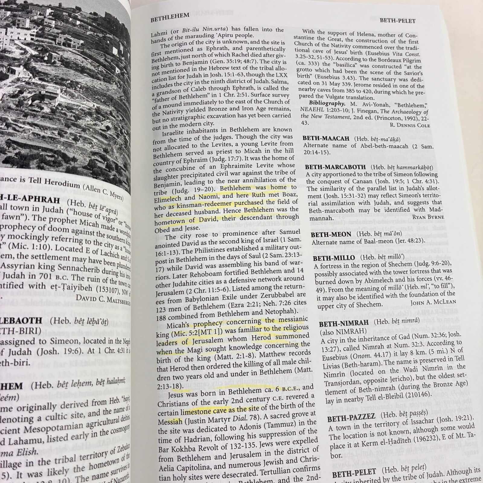Eerdmans Dictionary of the Bible by David Noel Freedman 2000 Paperback READ DESC