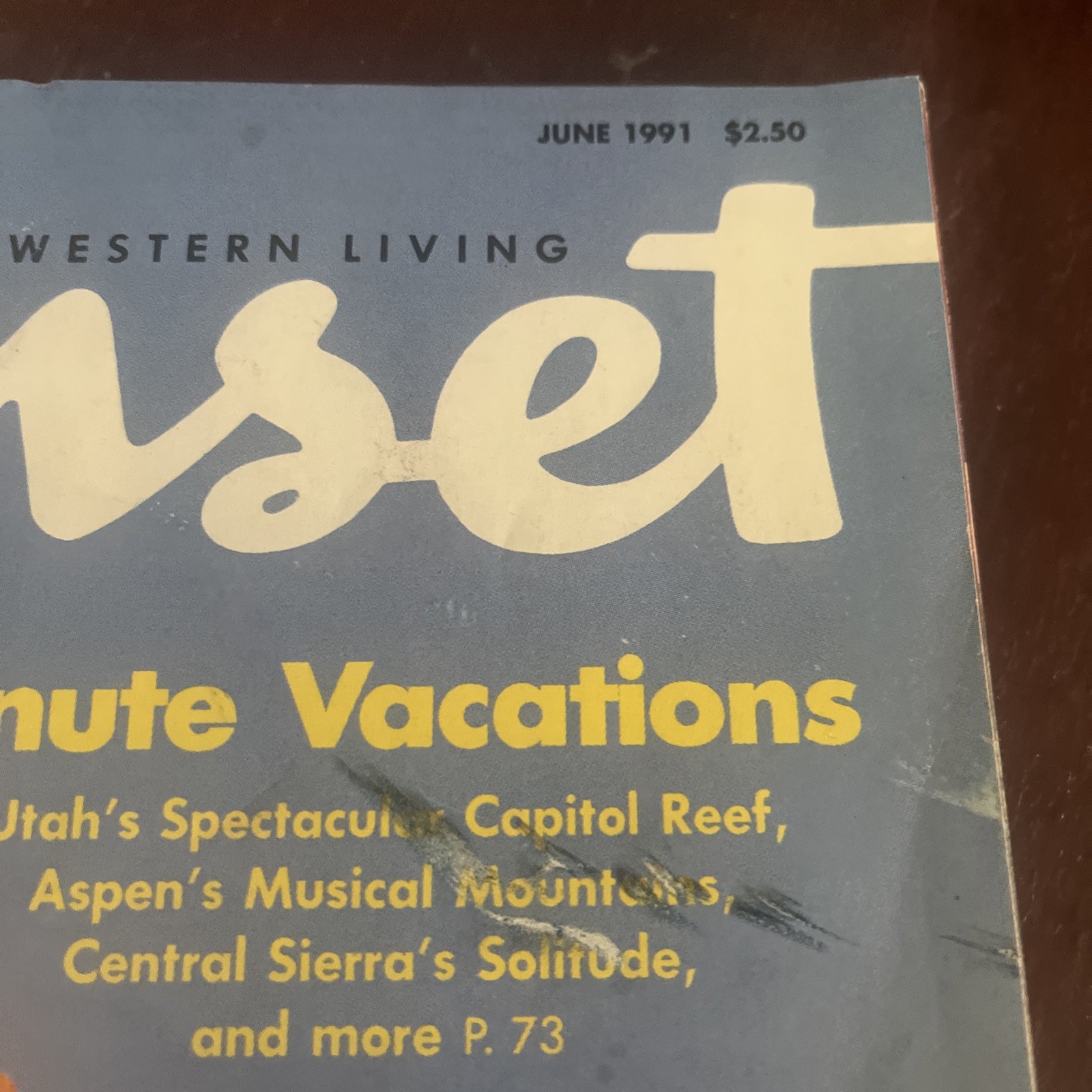 Sunset June 1991 Magazine 15 Terrific Last-Minute Vacations, Butterfly Gardening