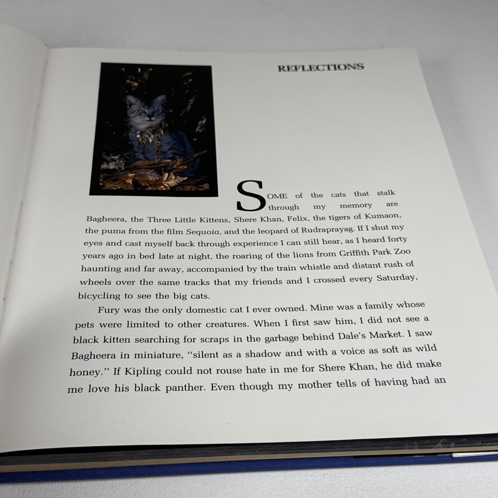 Vavras Cats Robert Vavra Photography Signed 1986 1st Ed Hardcover DJ