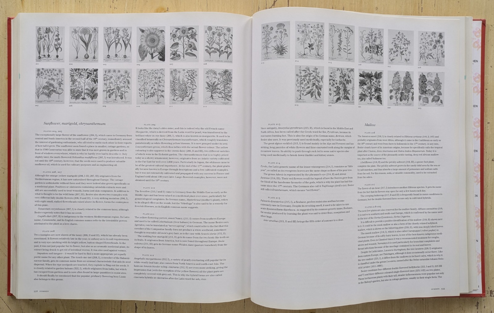 BASILIUS BESLER. THE BOOK OF PLANTS, THE COMPLETE PLATES (2007 HCDJ) GOOD