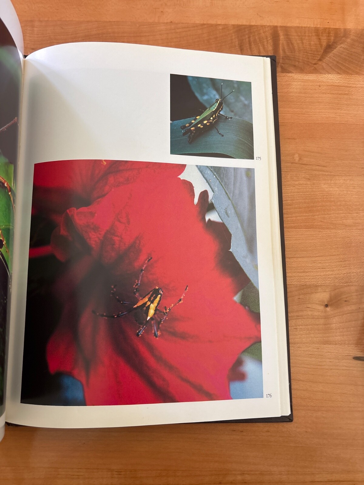 National Parks of Ecuador Hardback 1987 by Jorge Juan Anbalzer 230 Pages Rare