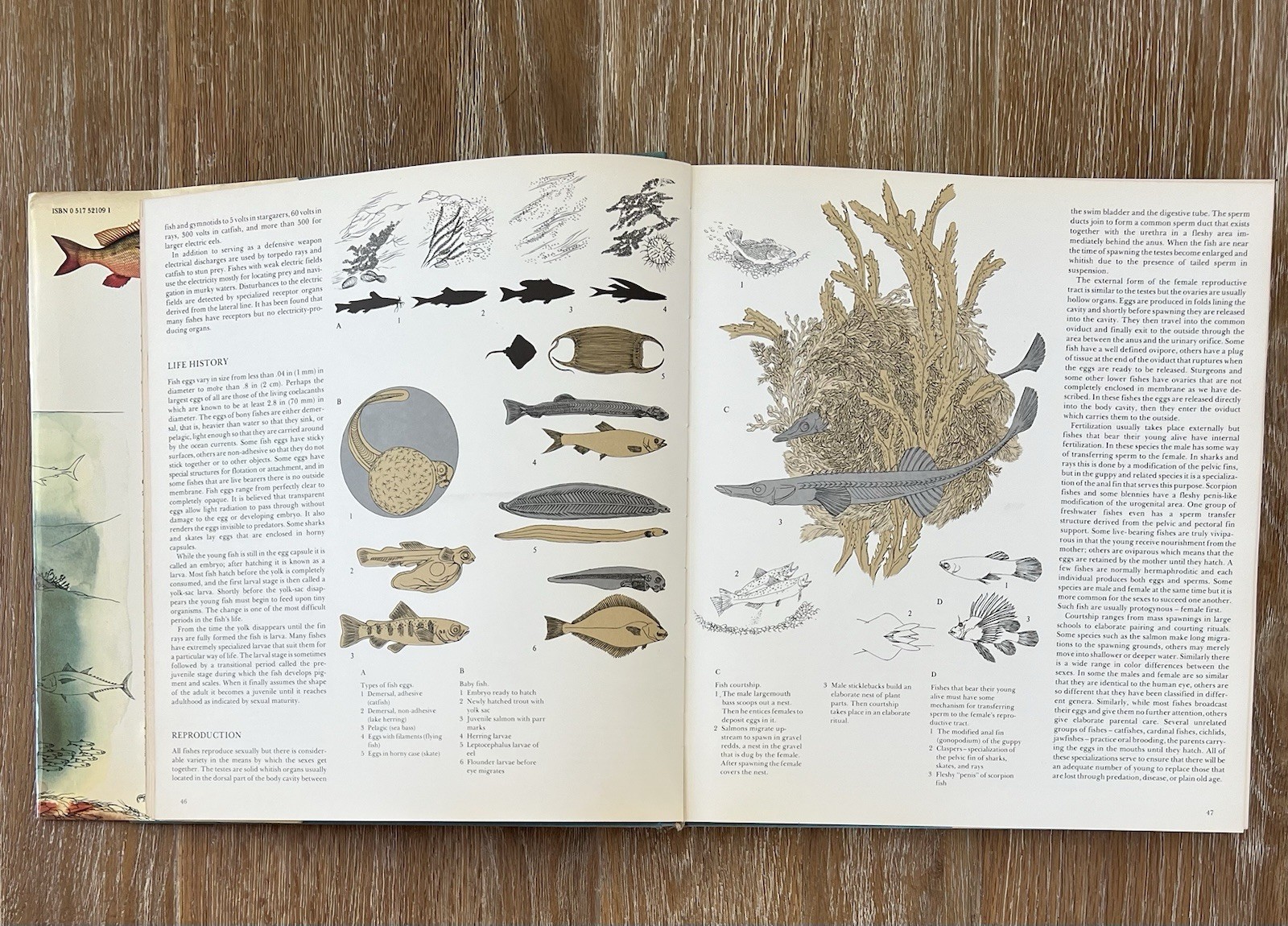 The Lore Of Sportfishing By Tre Tryckare & E. Changer Vinyage