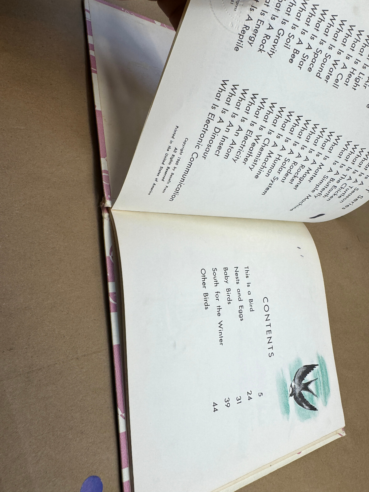 What is A Bird (The What is it series) 1960 Gene Darby Vtg Childrens book b