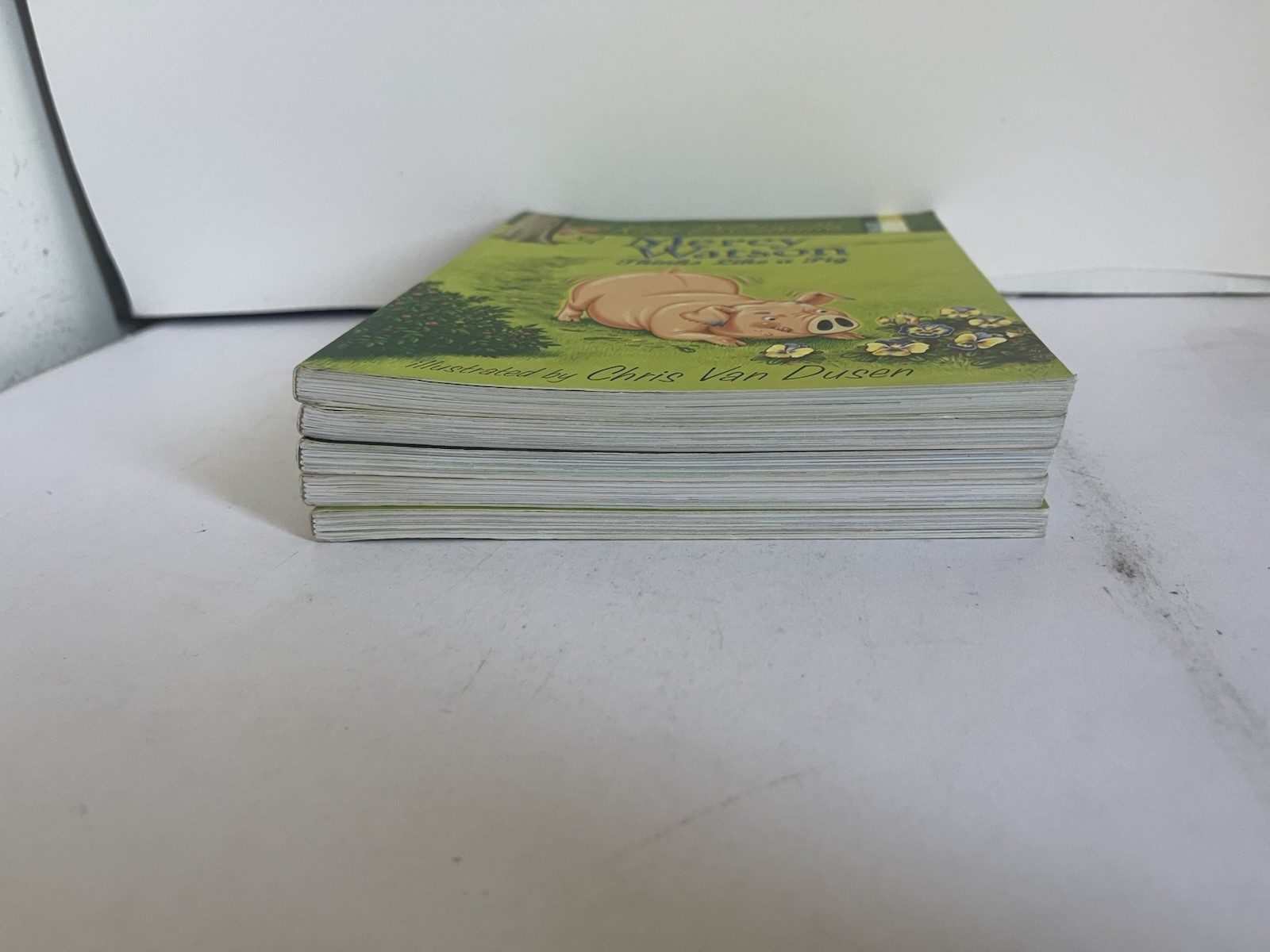 Kate DiCamillo MERCY WATSON lot of 5 Paperback Books First Edition 2009