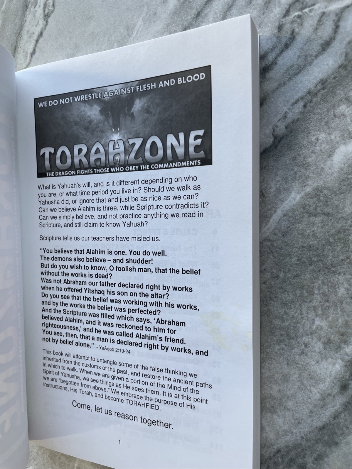 Torahzone We Do Not Wrestle Against Flesh And Blood Lew White